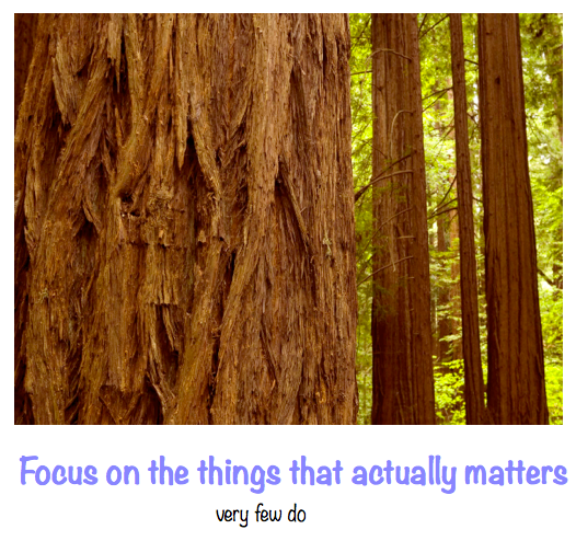 Inspirations of the day