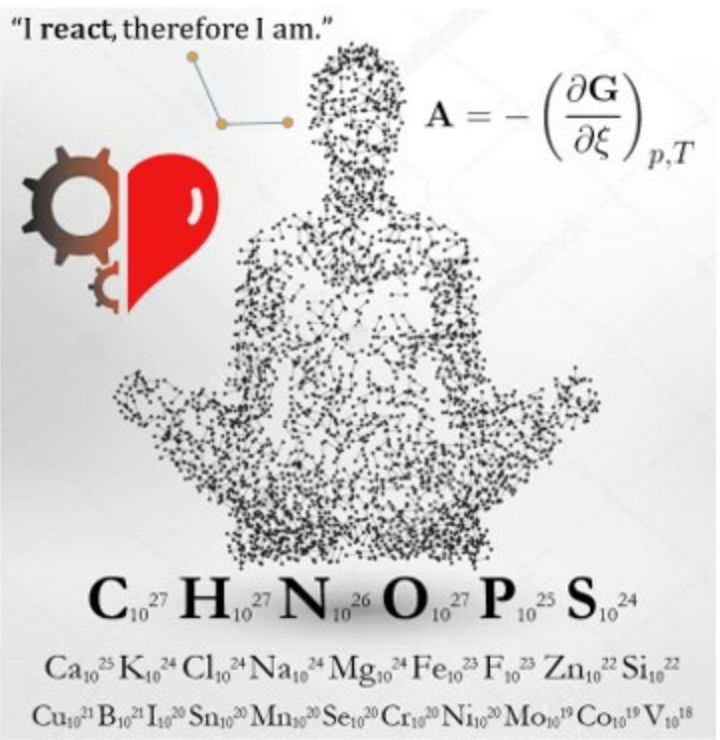 Screen Shot 2020-04-22 at 10.46.08 AM